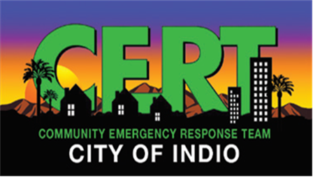 CERT logo